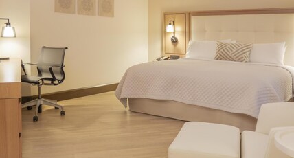 MS Milenium Monterrey, Curio Collection by Hilton Room Type - 1 KING BED JUNIOR SUITE