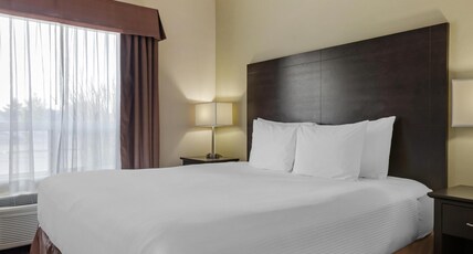 Best Western Plus Red Deer Inn and Suite Room Type - 1 King Bed, Non-Smoking, High Speed Internet Access, Mini Suite, Sofabed, Microwave And Refrigerator