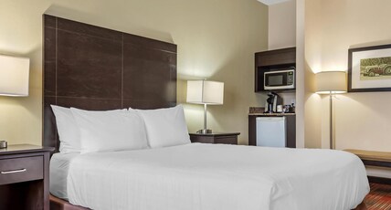 Best Western Plus Red Deer Inn and Suite Room Type - Accessible - 1 Queen, Mobility Accessible, Roll In Shower, Microwave And Refrigerator, Wi-Fi, Non-Sm