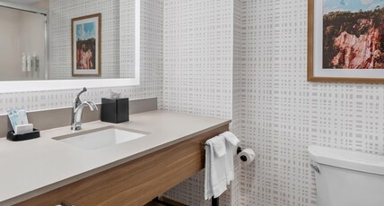 Hampton Inn Tifton Room Type - 1 KNG STUDIO SUITE NOSMOKE