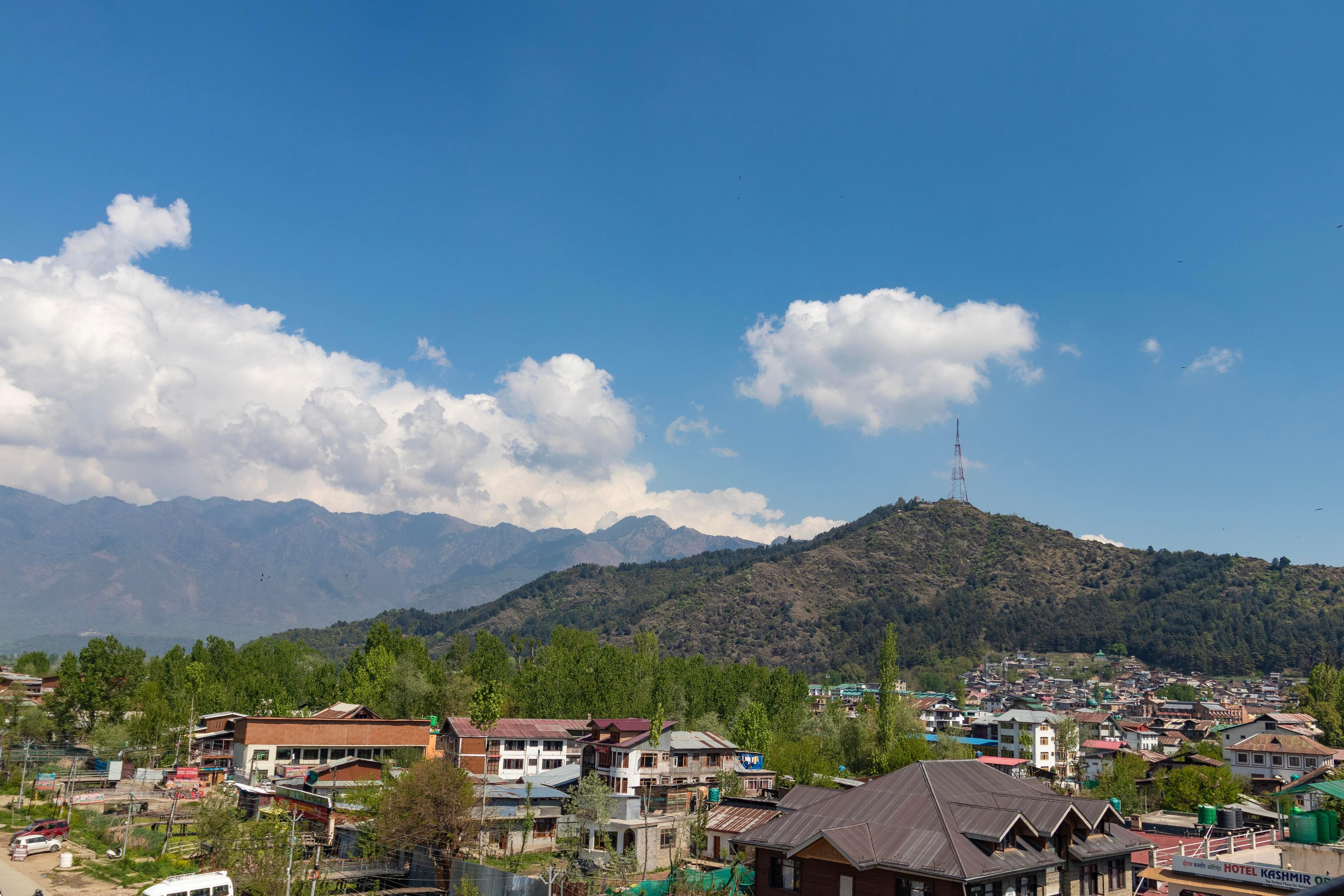 Hotel New Mamta Pure Veg Near By Dal Lake - Tap to explore photos