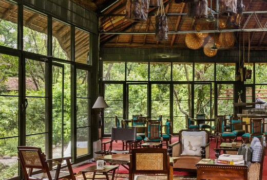 Jim's Jungle Retreat