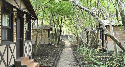 Camp Riveredge Paradise Room Type - River Side Cabins Camp Riveredge Paradise Room Type - River Side Cabins