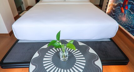 Orchid Passaros Benaulim Goa  Adult Only Room Type - Kingfisher - Deluxe Room