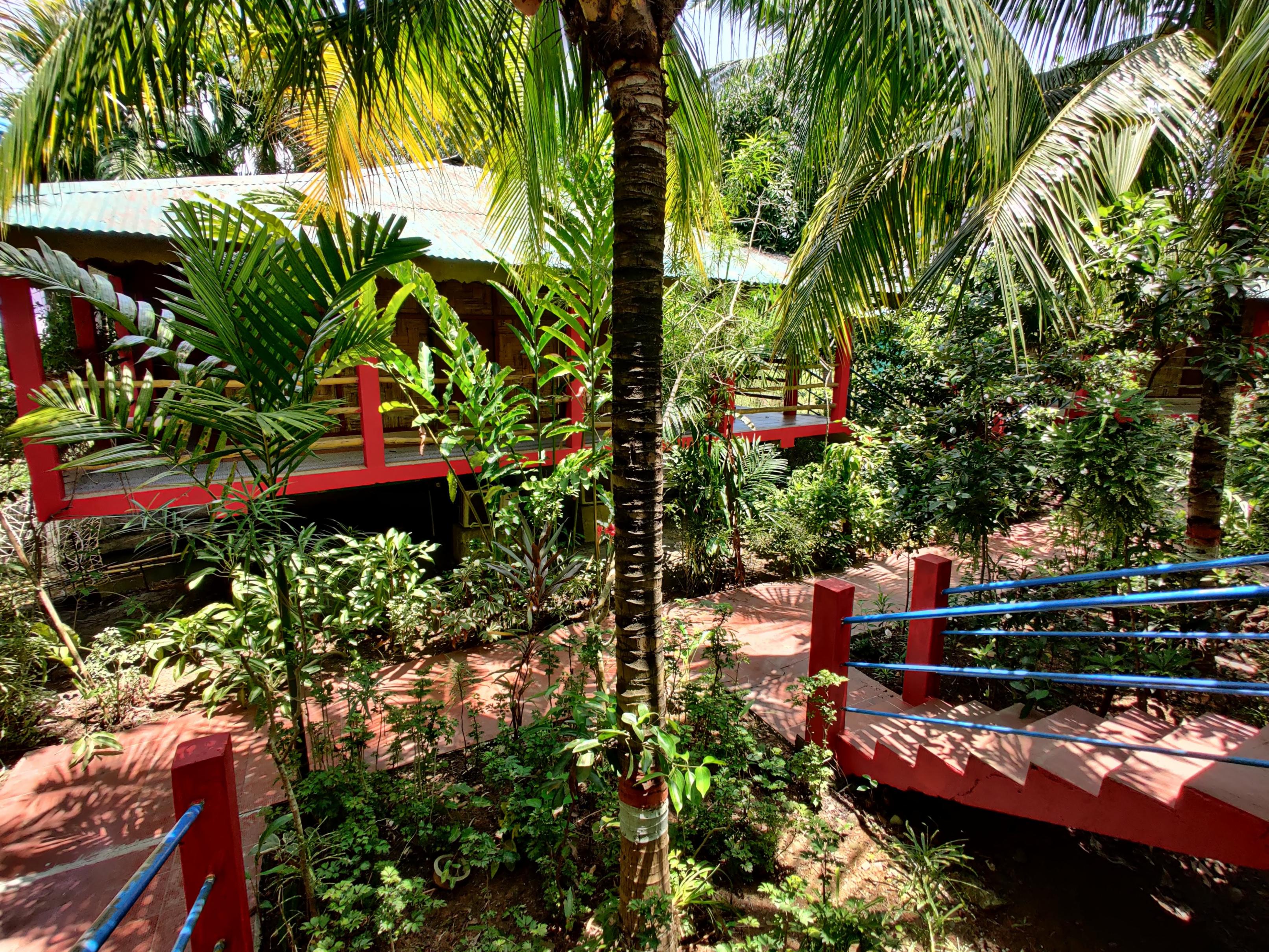 Palm Grove Eco Resort - Tap to explore photos