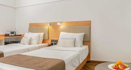 Kohinoor Continental Room Type - Superior Twin Room