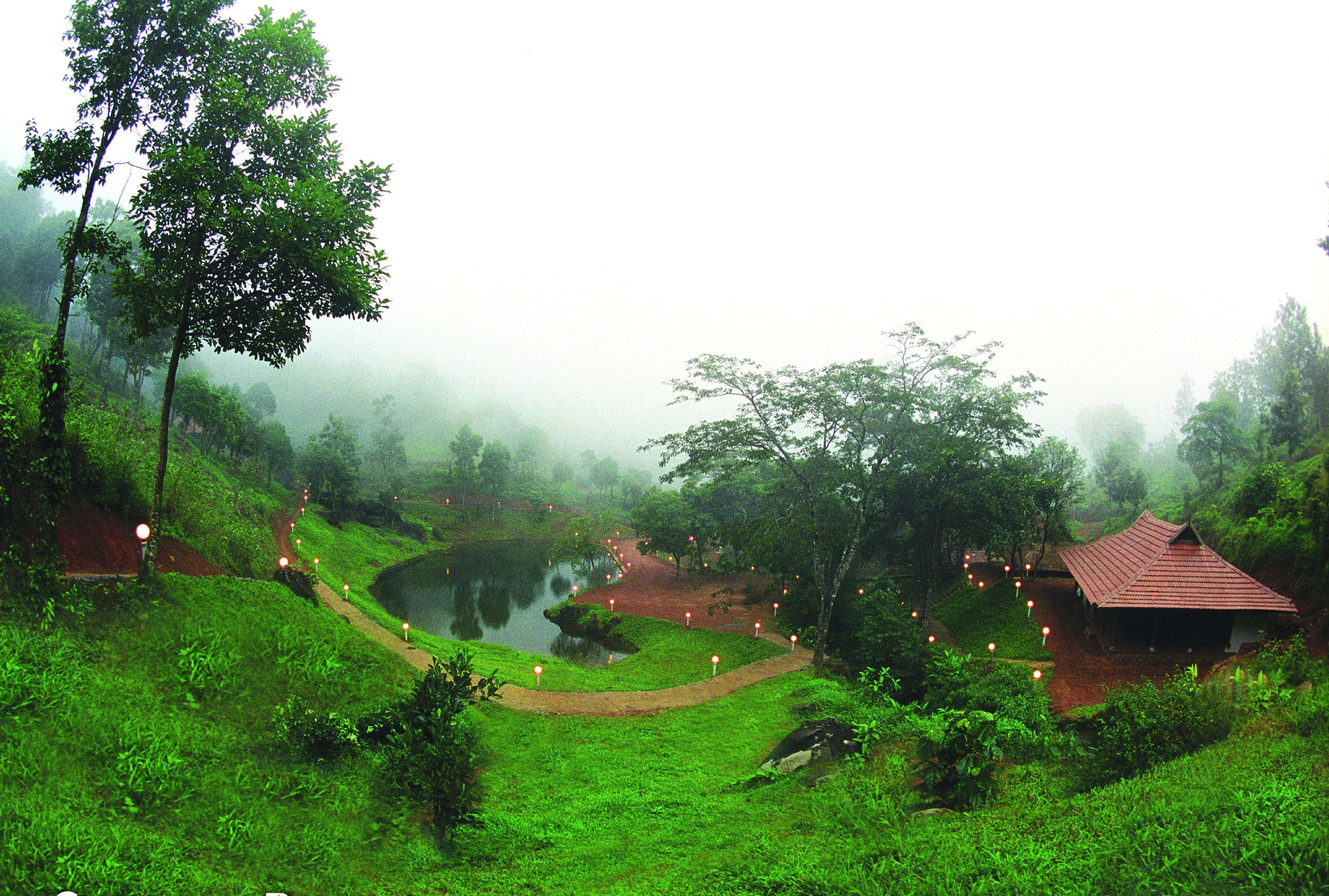 Rain Country Resort