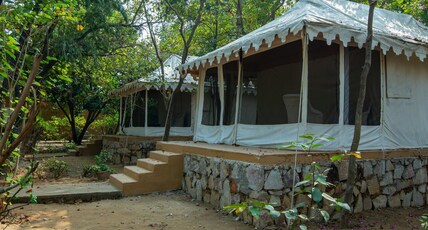 Ranthambore Tiger Machan Resort Room Type - Luxury Tent Ranthambore Tiger Machan Resort Room Type - Luxury Tent