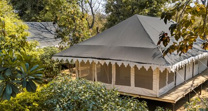 Ranthambore Tiger Machan Resort Room Type - Luxury Machan Tent A.C Ranthambore Tiger Machan Resort Room Type - Luxury Machan Tent A.C