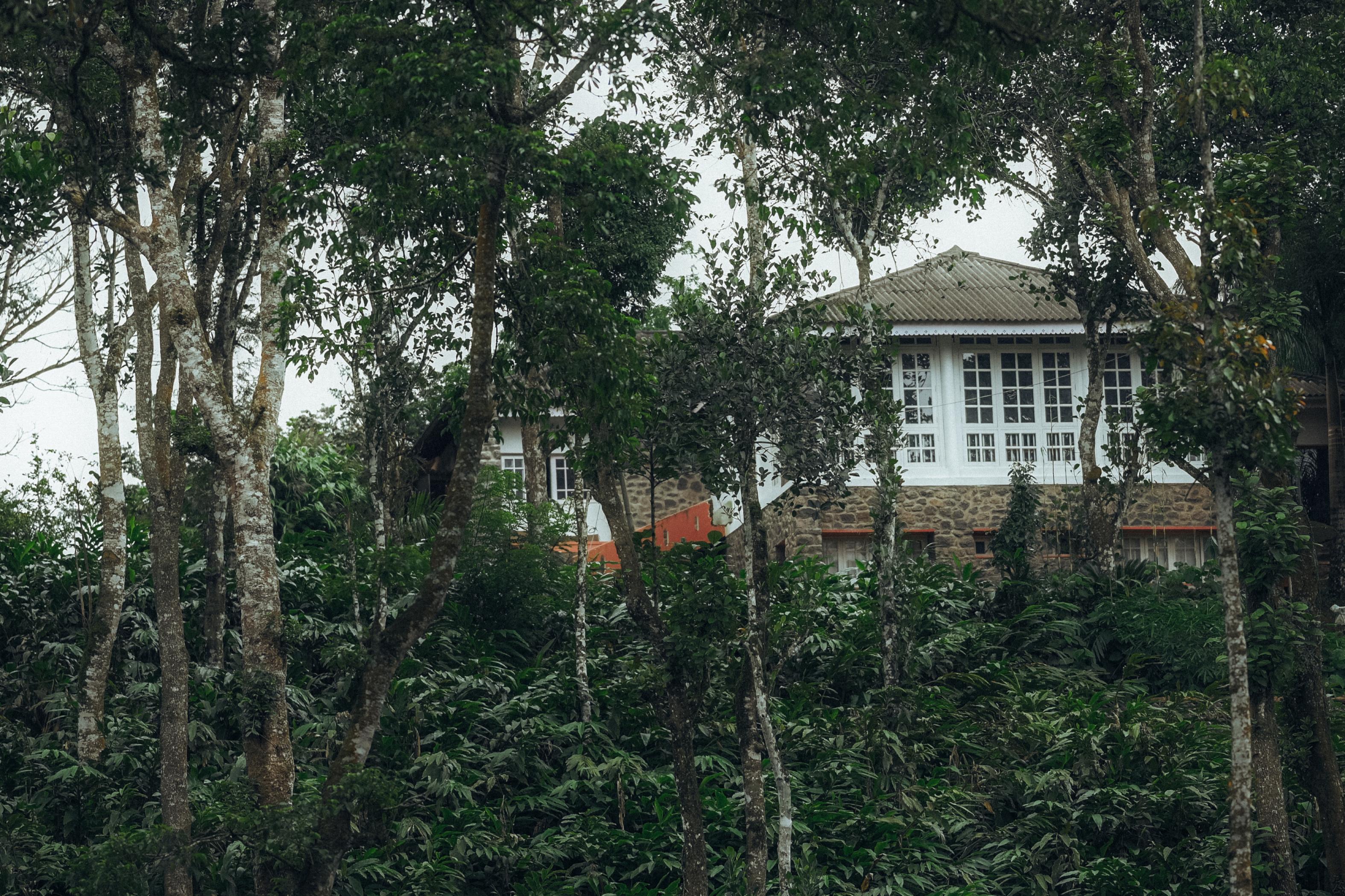 Eletaria Resort Thekkady | With Cardamom Plantation Experience - Tap to explore photos