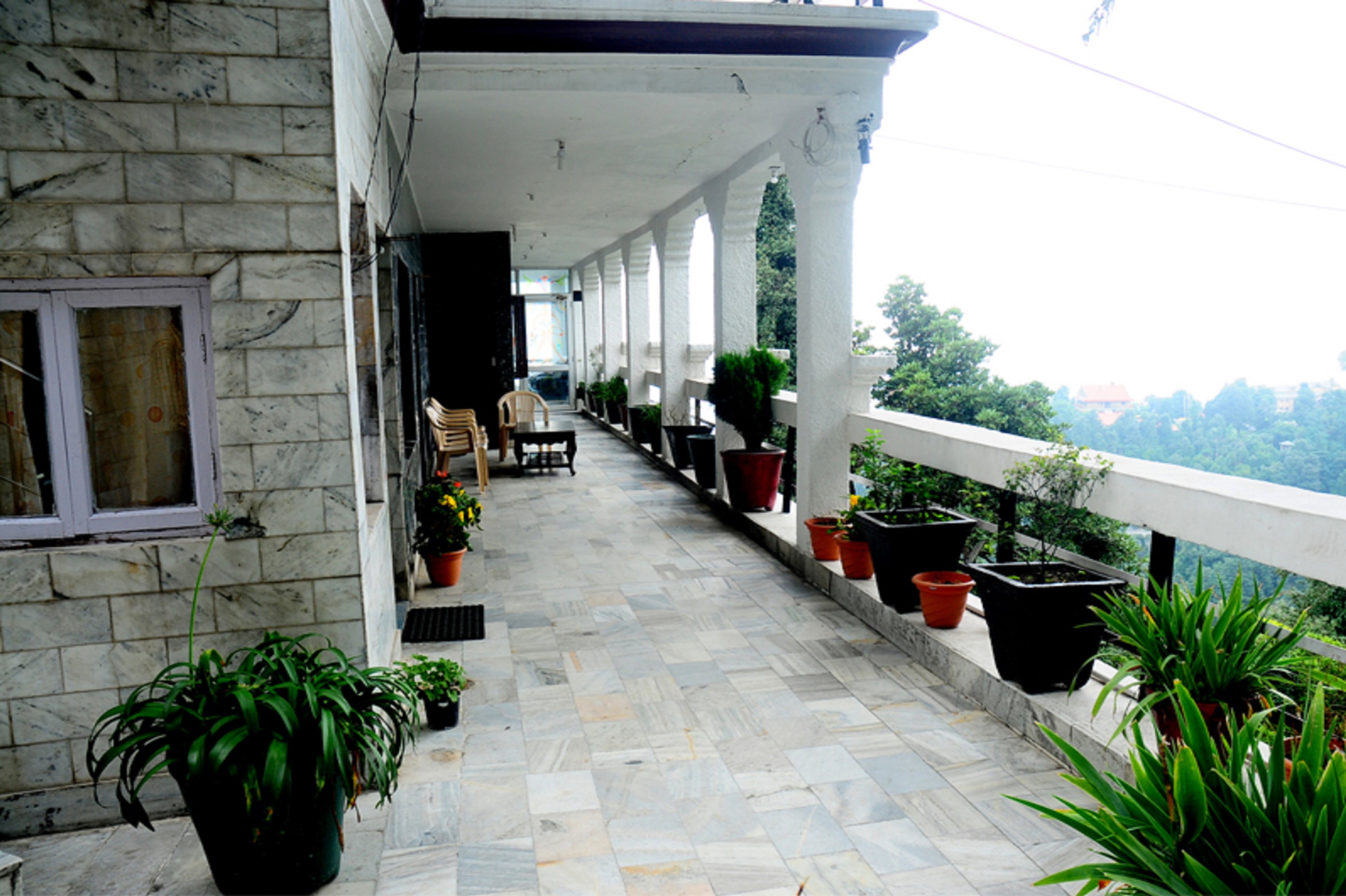 Main gallery