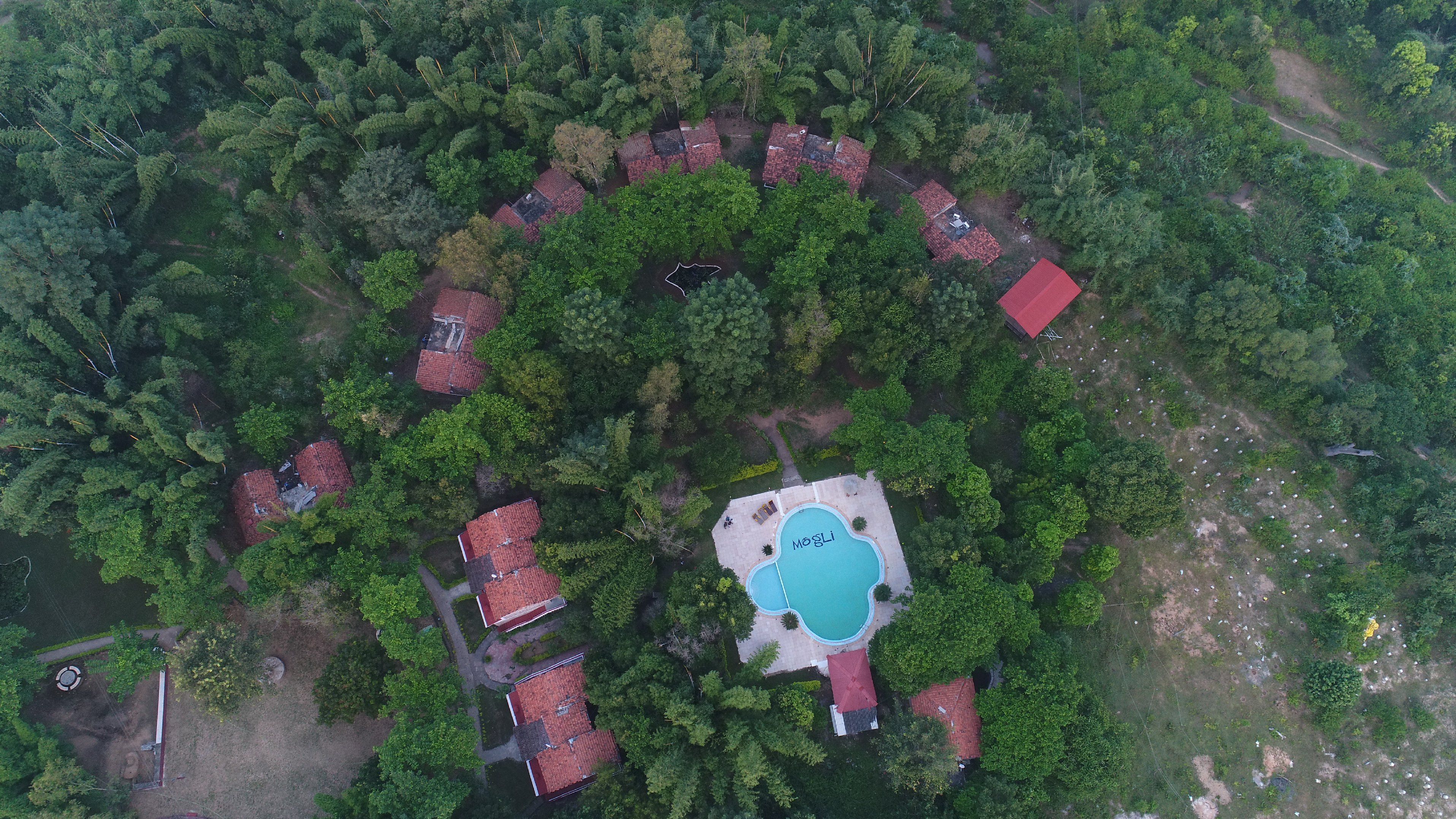 MOGLI JUNGLE RESORTS BANDHAVGARH - Tap to explore photos