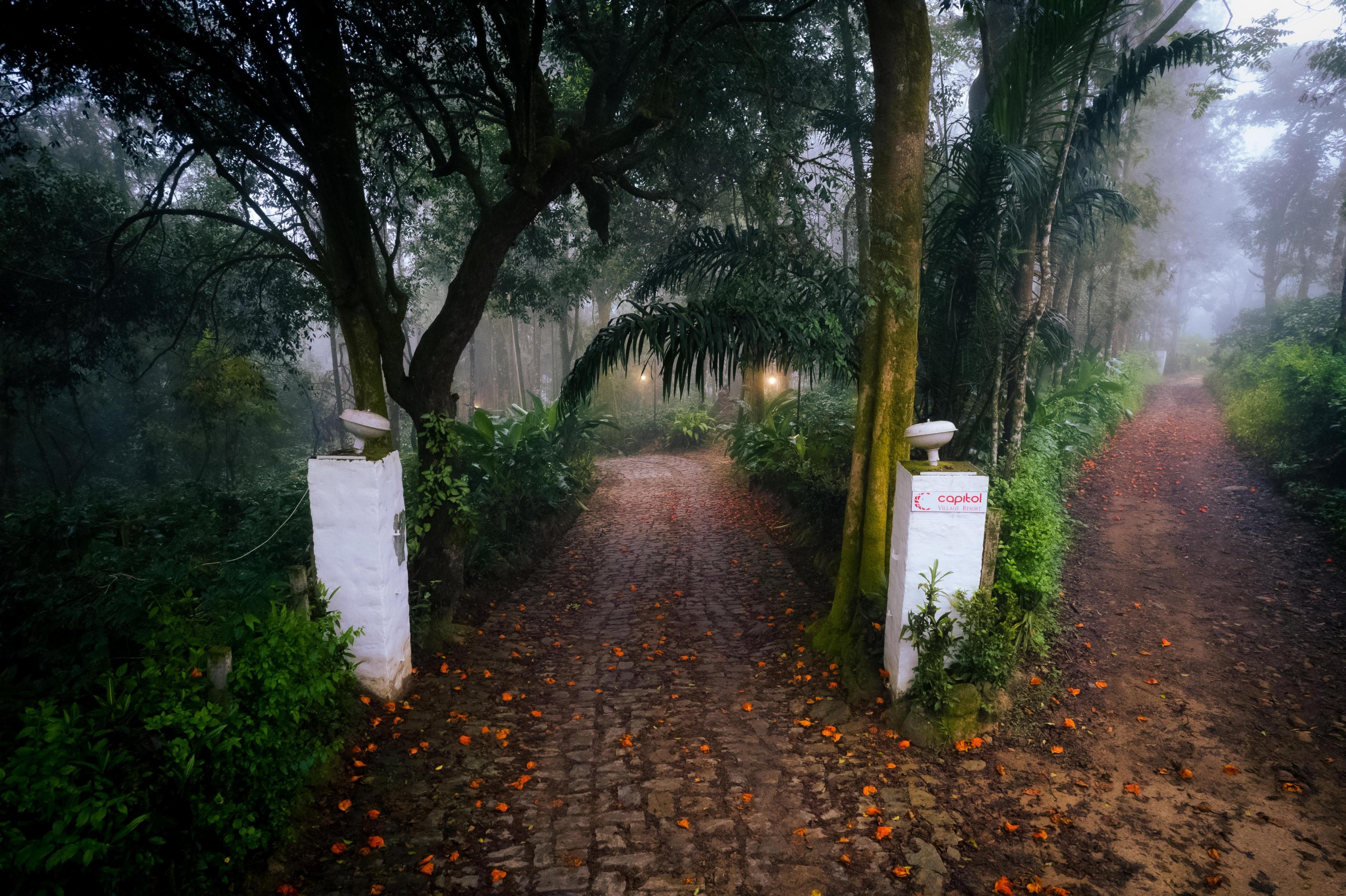 The Capitol Village Resort