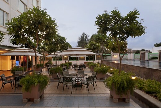 Radha Regent