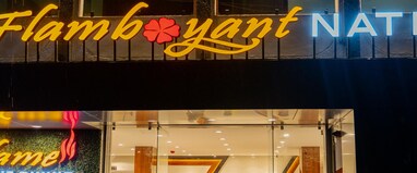 The Flamboyant Natraj