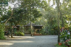 Palm Grove Service Villa | Rooms & Wi-Fi