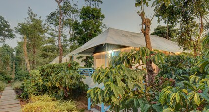EKA Resort & SPA by the Avyaan Room Type - Luxury tent With Estate View EKA Resort & SPA by the Avyaan Room Type - Luxury tent With Estate View