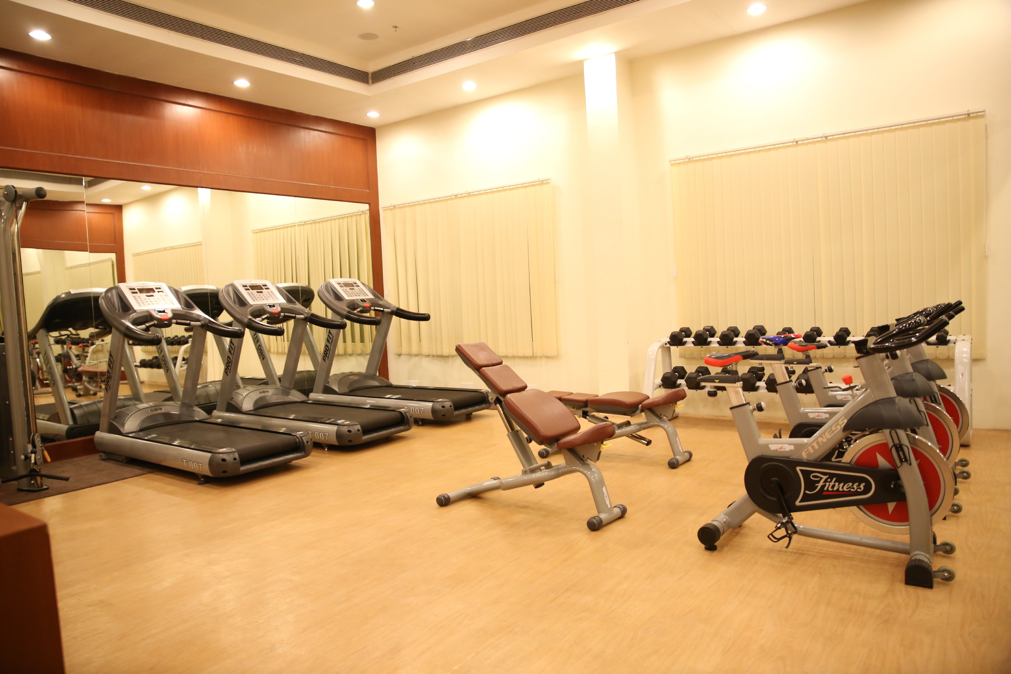 Main gallery