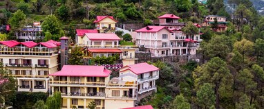 Maple Resort Chail