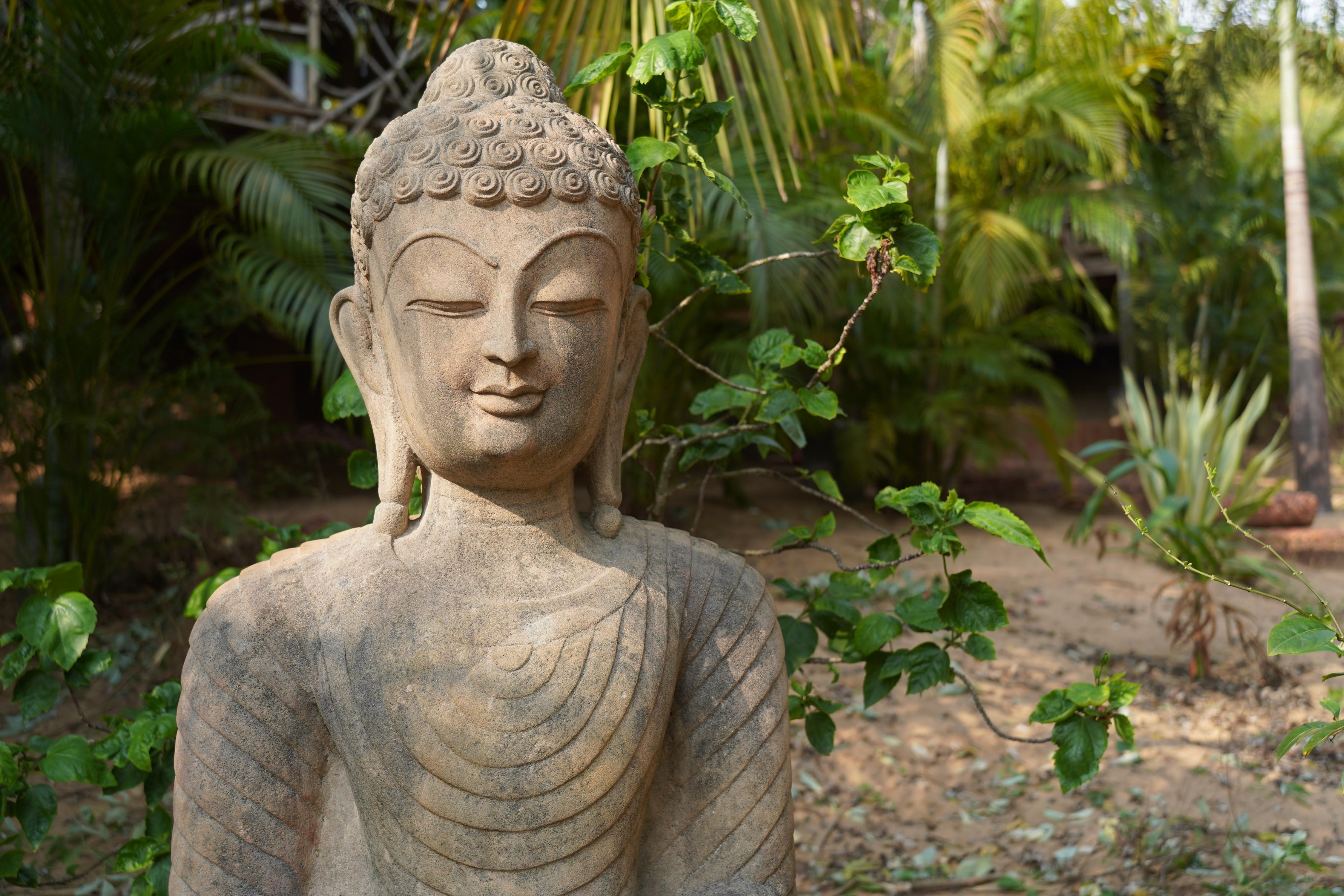 Little India Beach Cottages | Rooms & Wi-Fi