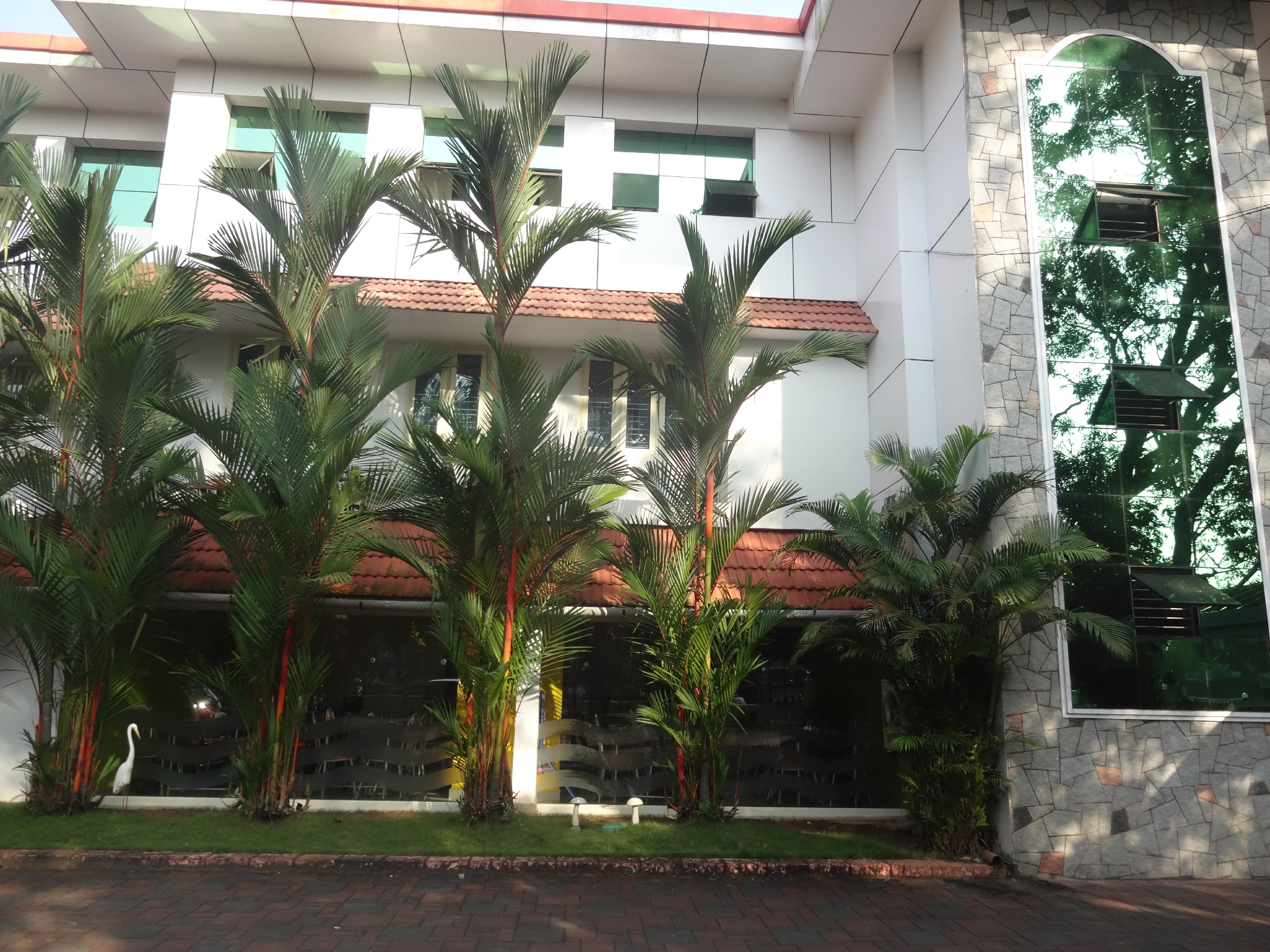 Hotel Mithila - Tap to explore photos