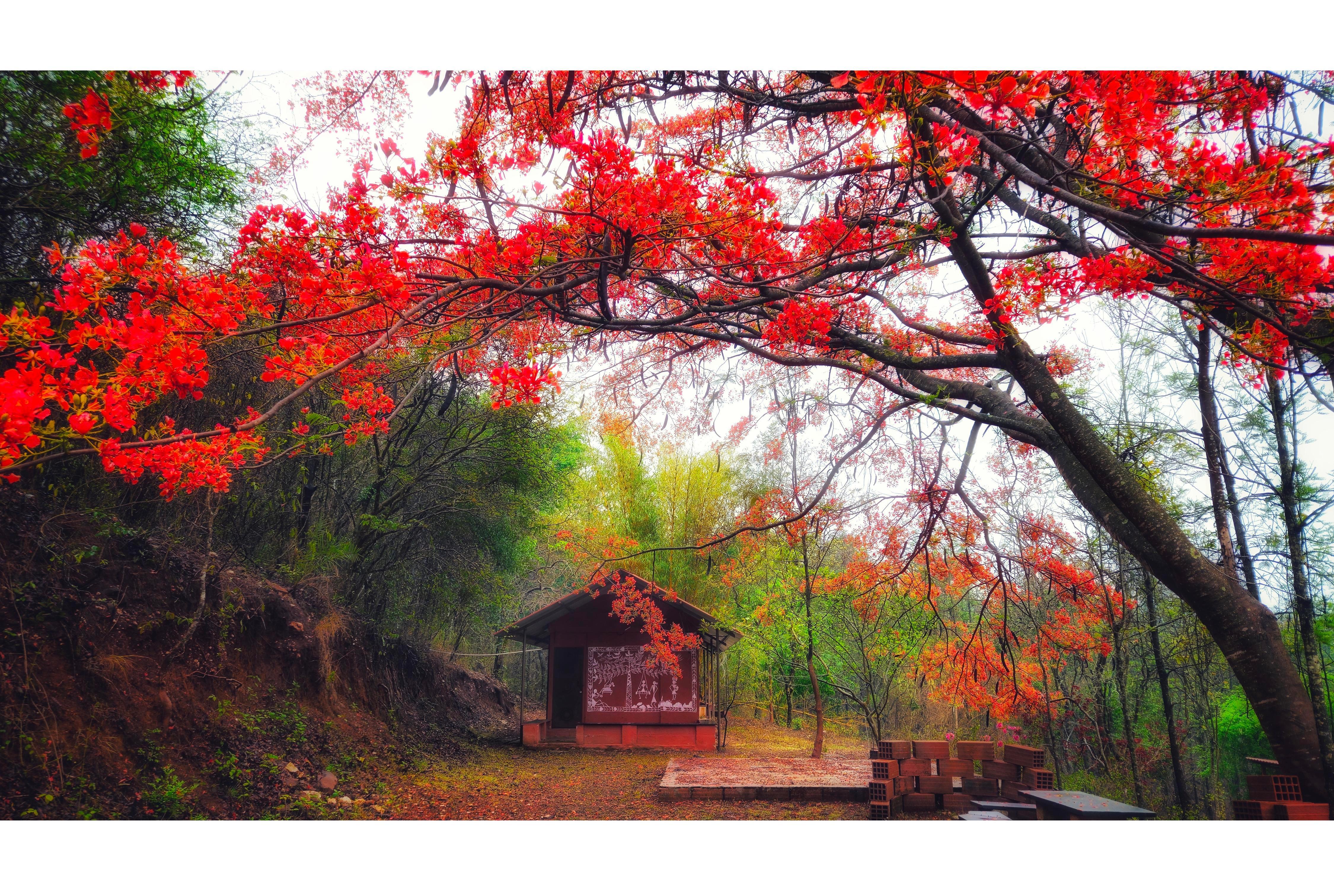 Devigiri Homestay