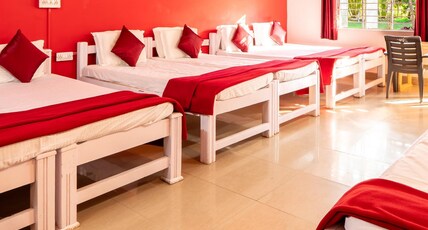 Panther Jungle Stay Room Type - Dormitory Room