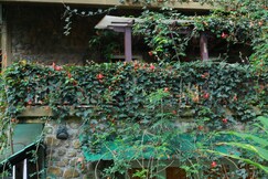 Greenspaces Munnar | Rooms in a Homestay