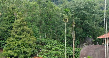Avadale Wayanad (Stag Groups Not Allowed) Room Type - Rock House (Non-AC)