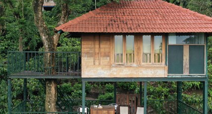 Avadale Wayanad (Stag Groups Not Allowed) Room Type - Tree House with Private Sitout (Non-AC)