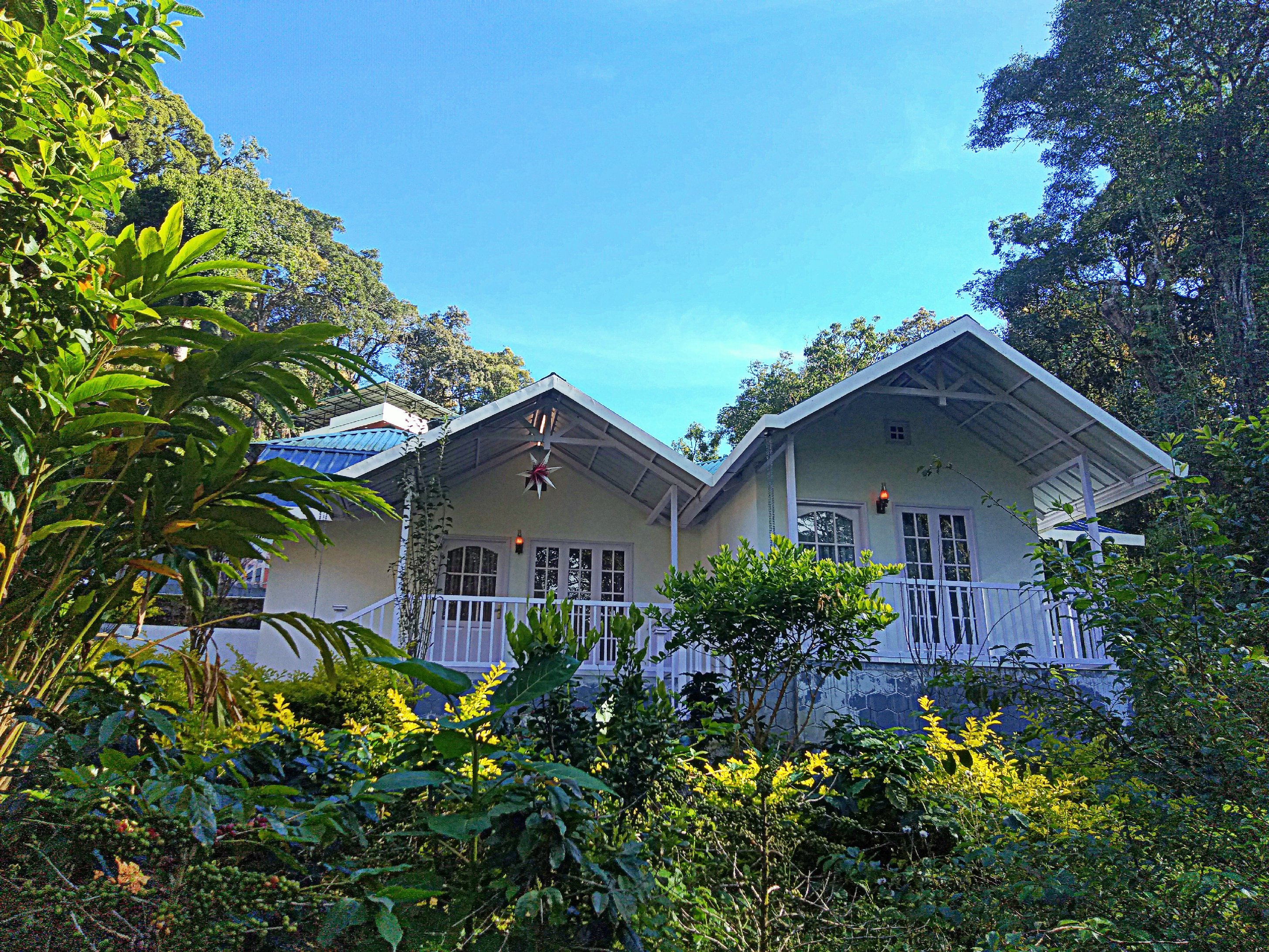 Rainforest Munnar Resort - Tap to explore photos