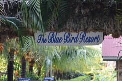 Blue Bird Resort