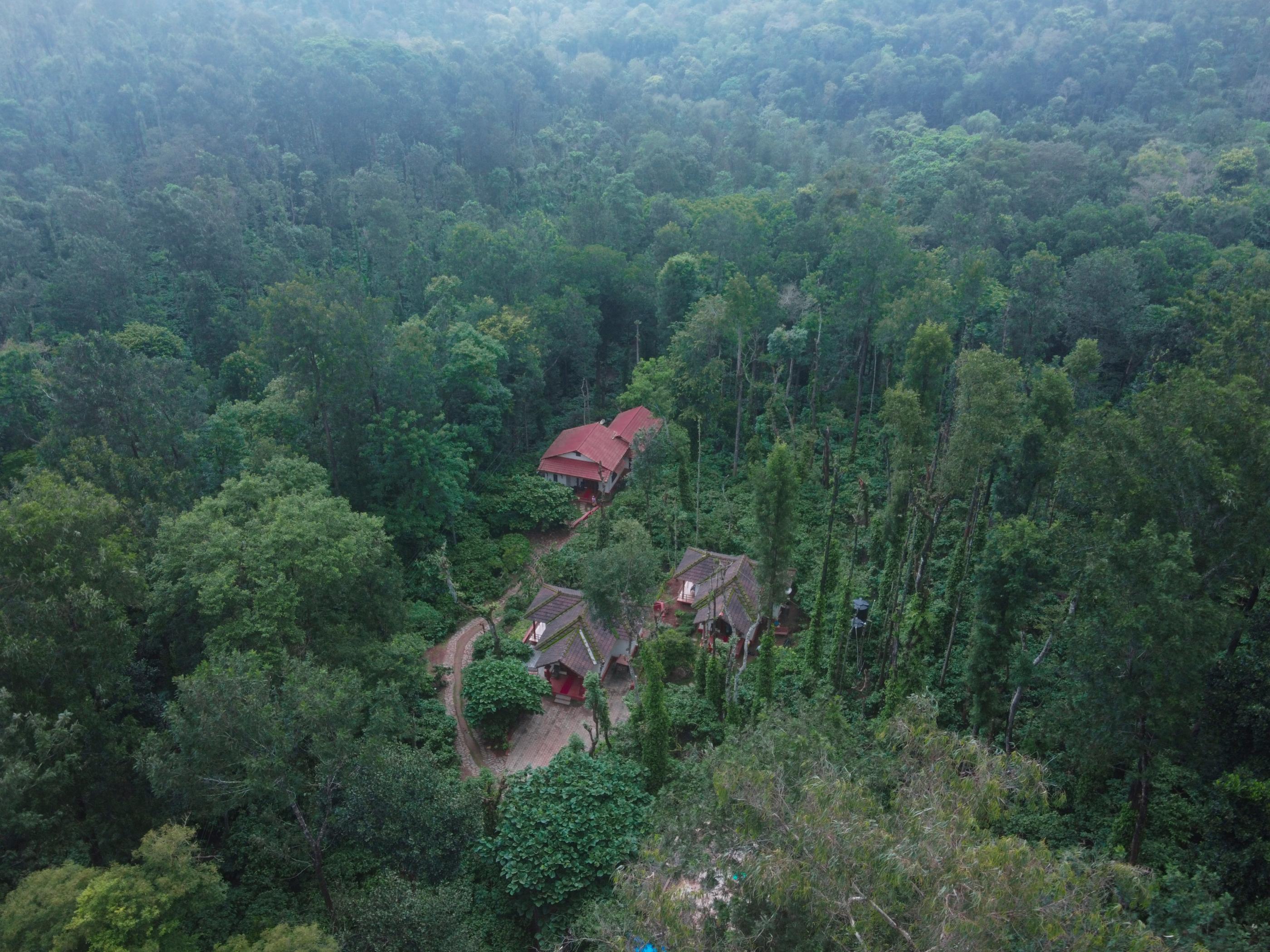 Natura Vista | A Plantation Stay