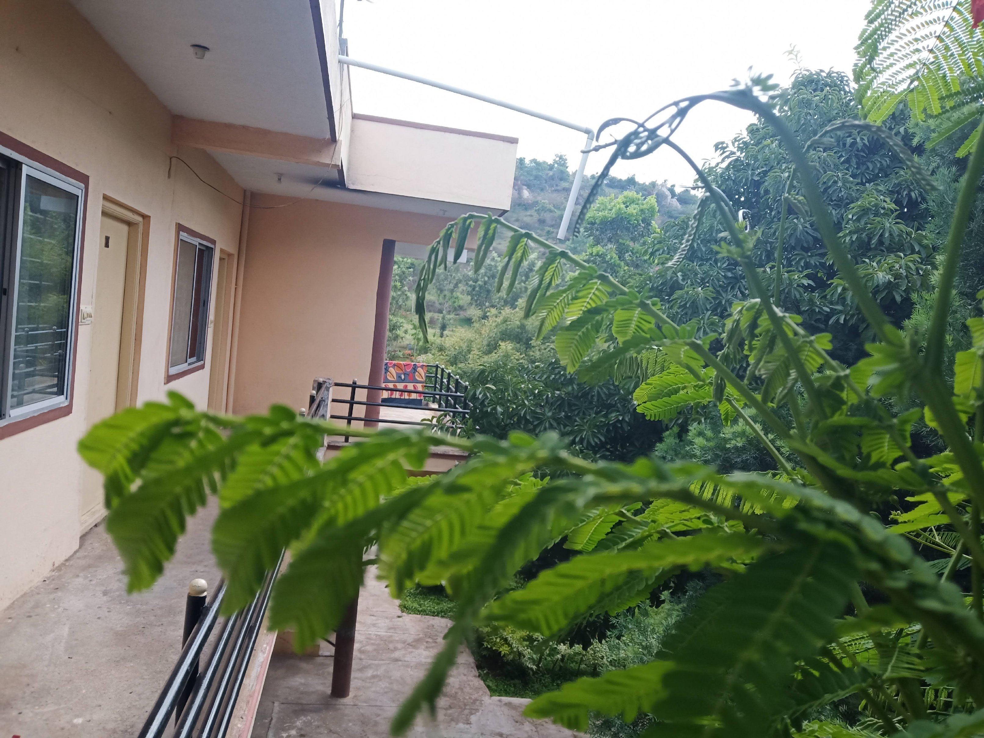 Hotel Vana Vihar - Tap to explore photos