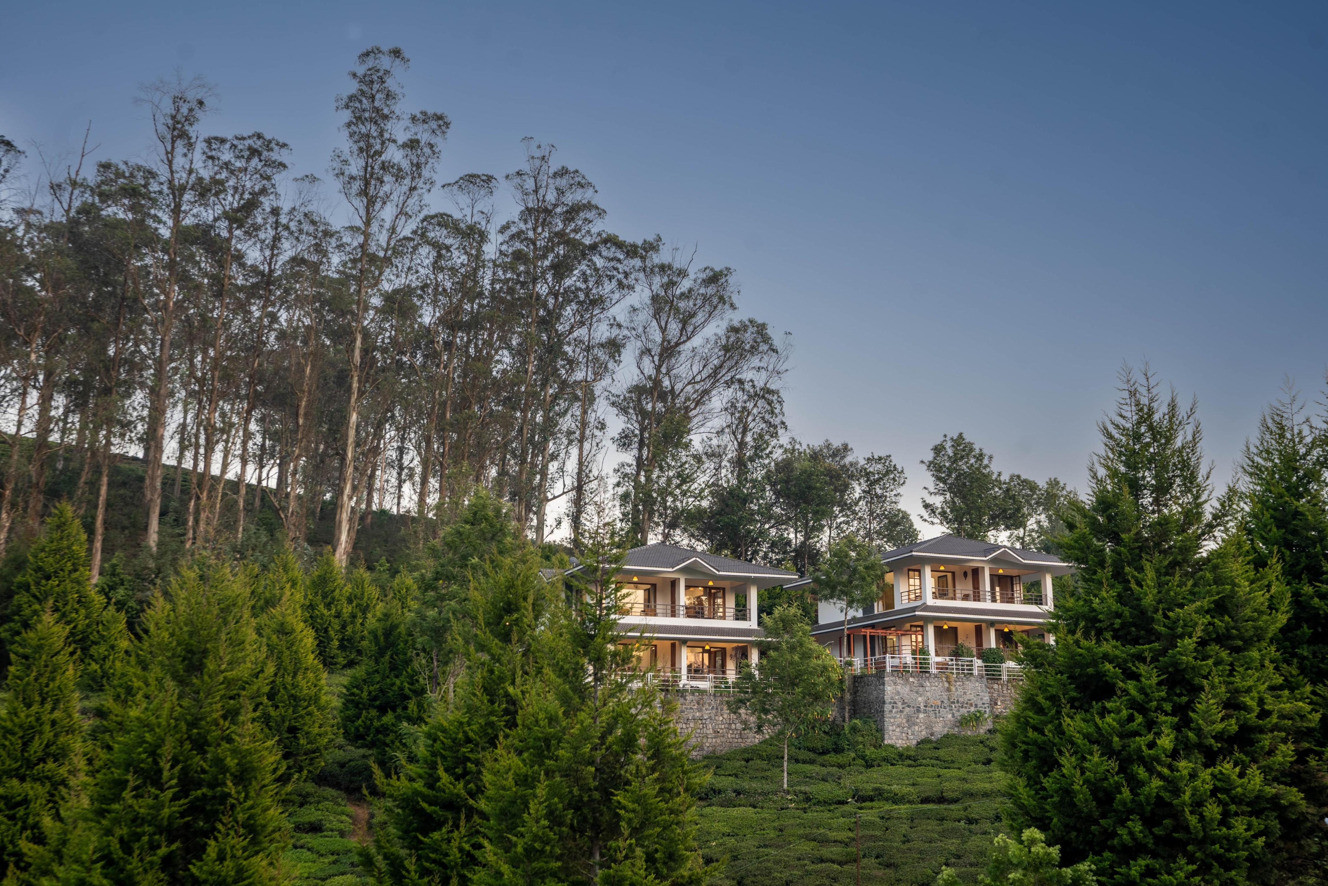 Green Nest Resort - Tea Plantation Escape