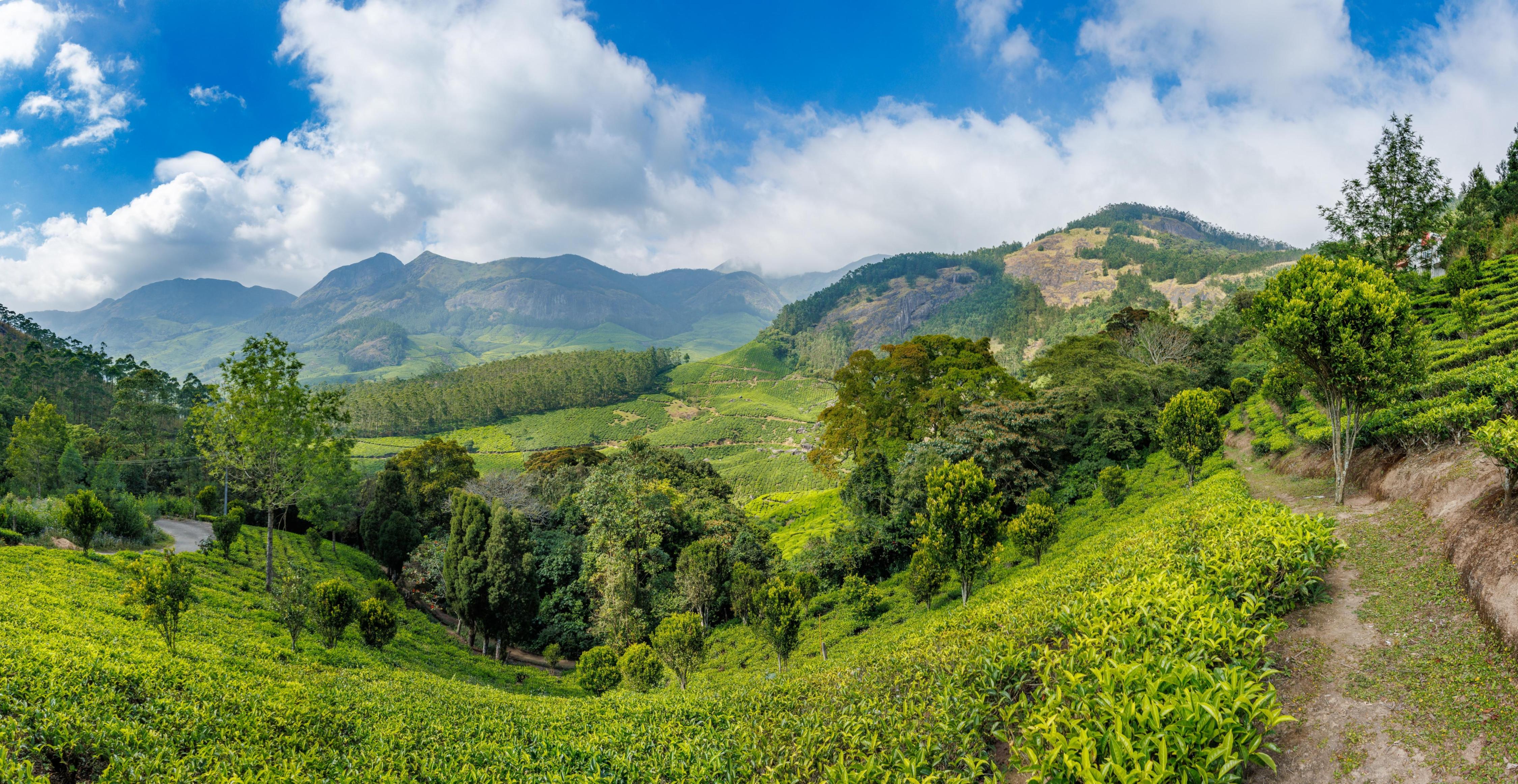 Eterno Capithans Dale - Tap to explore photos
