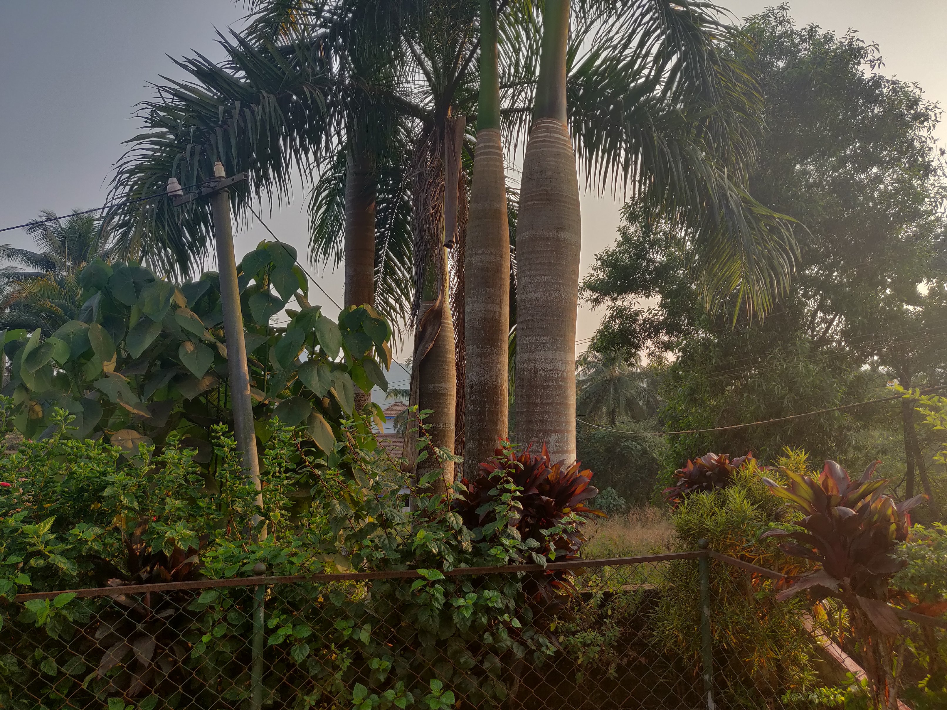 Shri Krishna Residency - Tap to explore photos