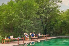 Trees and Tigers Sariska