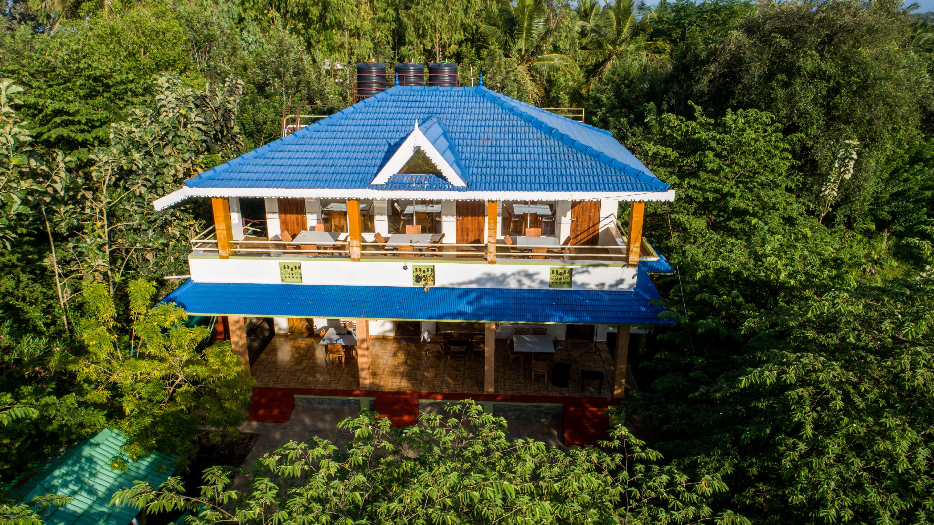 The Midway Jungle Resort - Tap to explore photos
