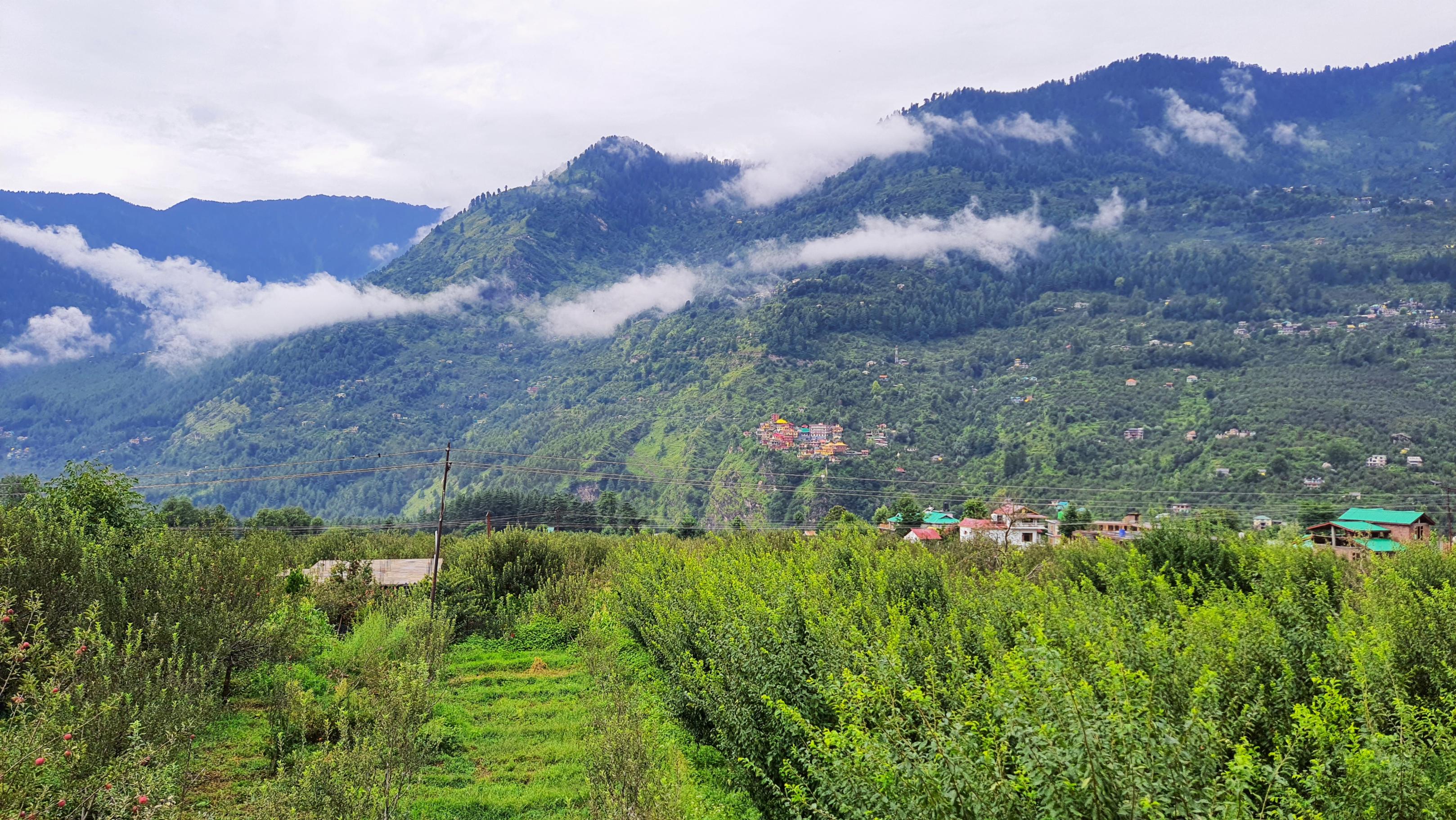 Harippur Cottages and Resort - Manali - Tap to explore photos