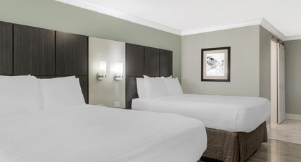 Best Western Bayfront Room Type - 2 Queen Beds, Non-Smoking, Microwave And Refrigerator, Wi-Fi