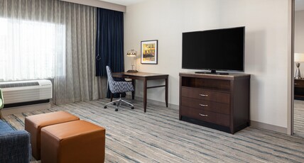 Hilton Garden Inn Seattle Downtown Room Type - 1KNG ACC 1BDRM STE RI SHWR
