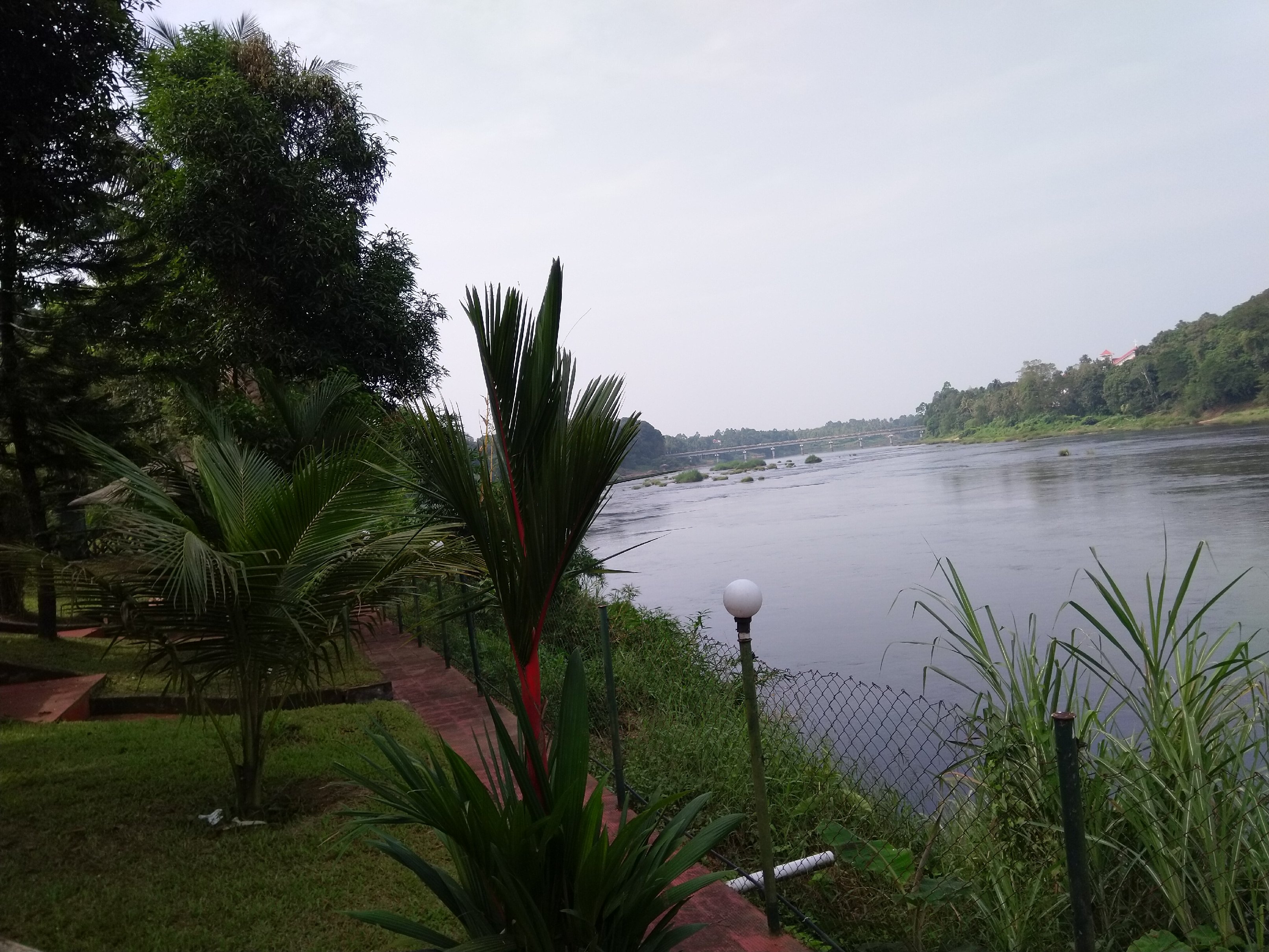 Elephantpass Ayurveda & Yoga Retreat - Tap to explore photos