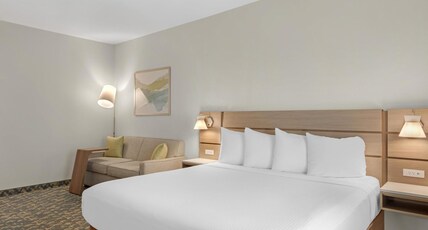 Best Western Wesley Chapel Room Type - 1 King Bed, Non-Smoking, High Speed Internet Access, Microwave And Refrigerator, Flat Screen Televis Best Western Wesley Chapel Room Type - 1 King Bed, Non-Smoking, High Speed Internet Access, Microwave And Refrigerator, Flat Screen Televis