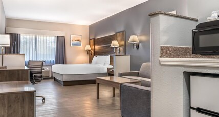 Best Western Wakulla Inn & Suites Room Type - Suite-1 King Bed, Non-Smoking, High Speed Internet Access, Sofabed, Mini-Suite, Microwave And Refrig