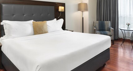 Eros Hotel New Delhi by IHG Room Type - 1 King Classic Pool View