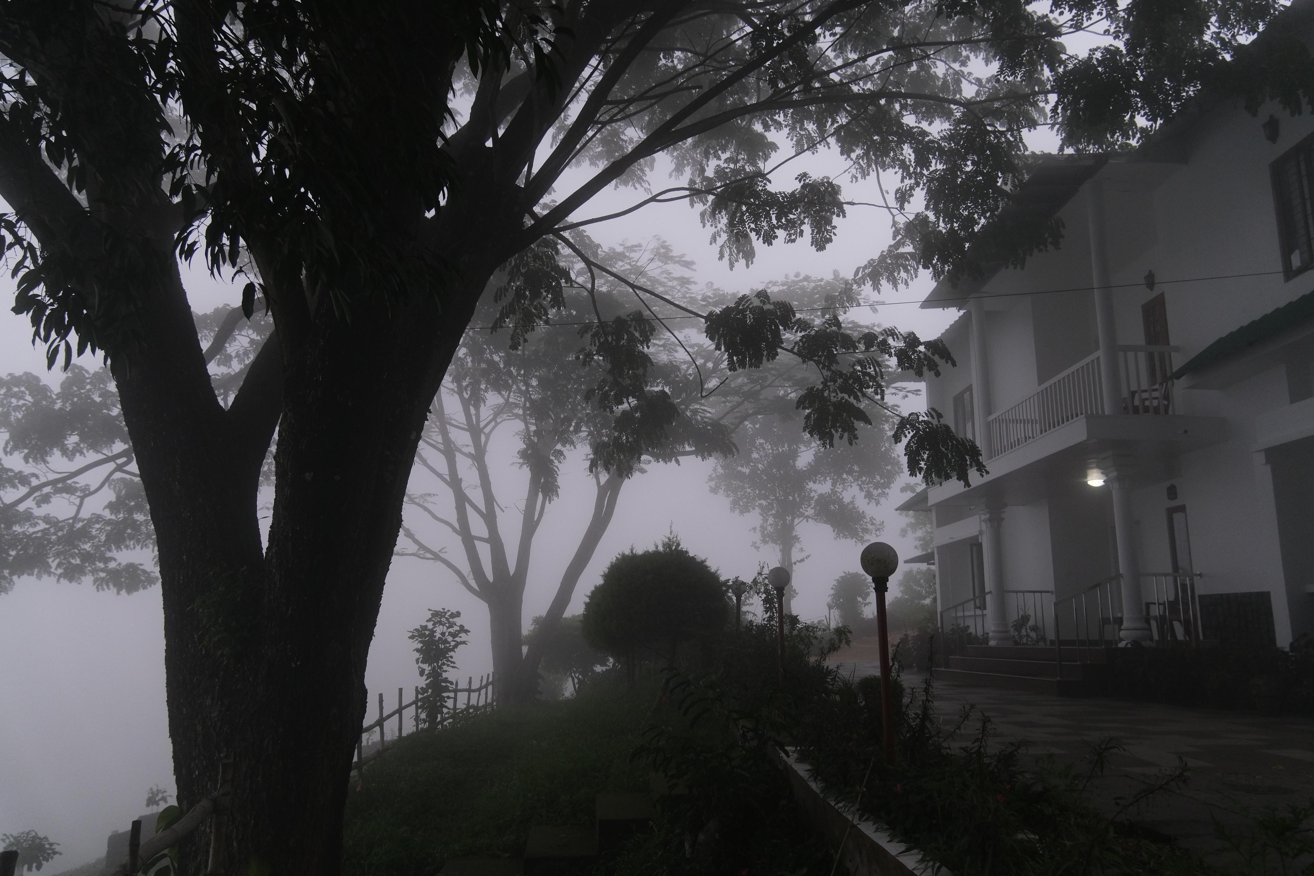 Address of Serene Biovalley Munnar