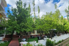 Hotel Zik Zik Holidays