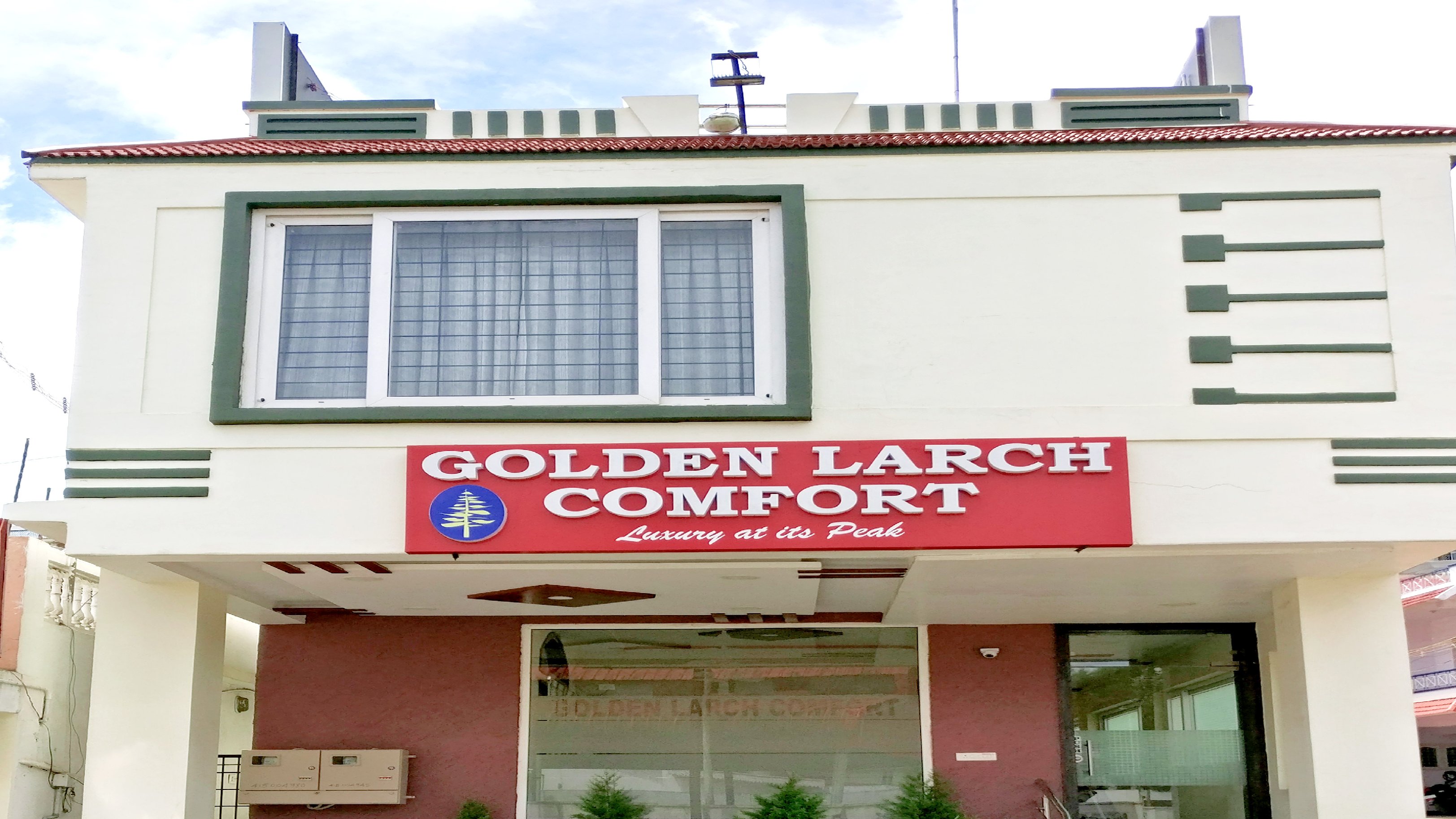 Golden Larch Comfort - Tap to explore photos
