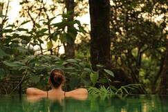 Wayanad Wild - A CGH Earth Experience